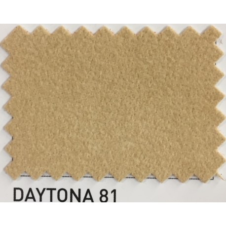 Daytona 81